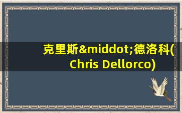 克里斯·德洛科(Chris Dellorco)人体绘画